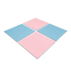 Large Foam Puzzle Mats - Baby Pink / Baby Blue - SpeelSterk.nl