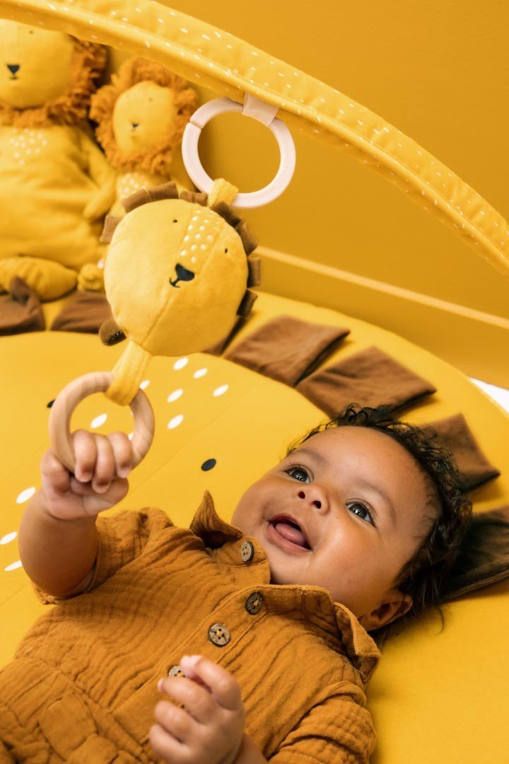 Speelkleed - Mr. Lion - SpeelSterk